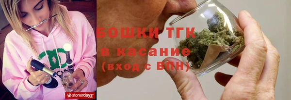 прущий лед Богданович