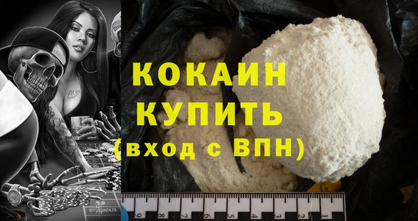 спиды Бородино
