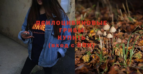 стаф Бронницы