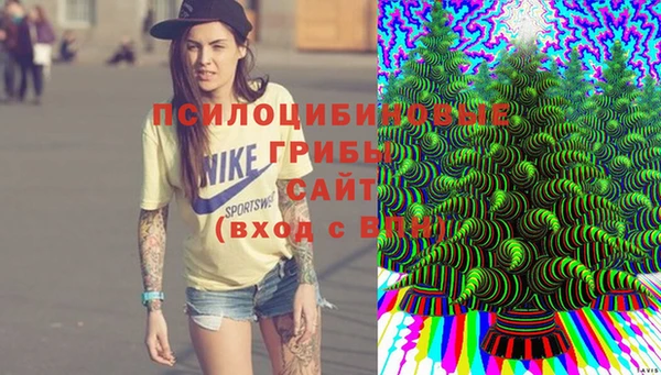 прущий лед Богданович