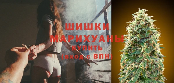 спиды Бородино