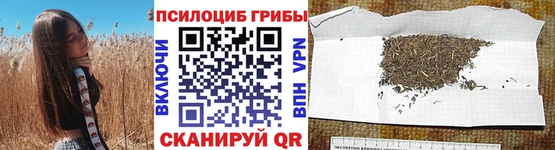 купить   Кузнецк  Псилоцибиновые грибы мухоморы 